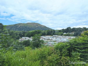 A small caravan park nestled amongst trees with Knockdolian Hill towering behind