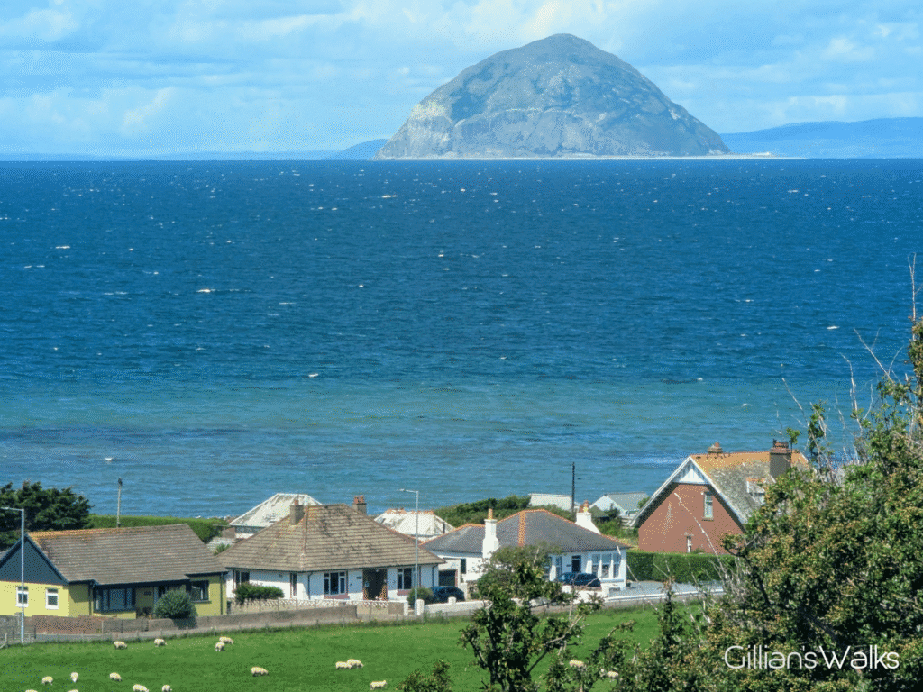 Close up view of a very detailed Ailsa Craig across turquoise waters of the Firth of Clyde. Some rooftops are visible in the foreground beyond a grassy field with sheep in it.