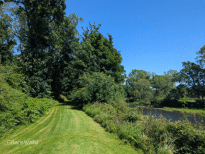 A wide grassy lawn along the edge of the Stinchar River