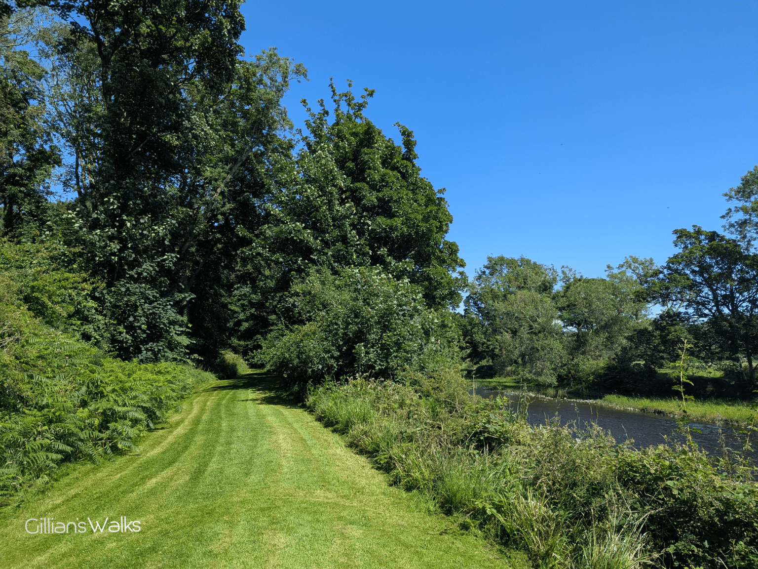 A wide grassy lawn along the edge of the Stinchar River