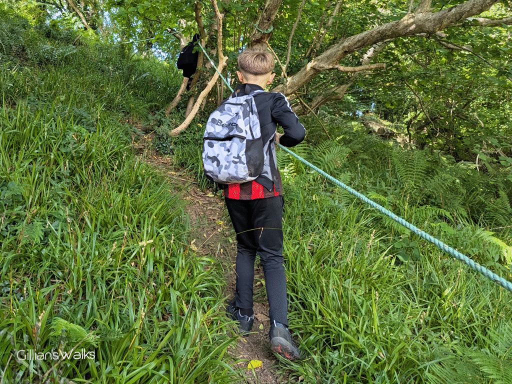 My sons using the rope to assist them getting up the steep woodland slope