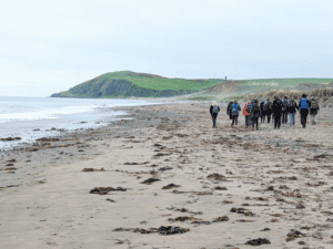 Large group of walkers on a sandy beach going towards the rocky headland of Bennane