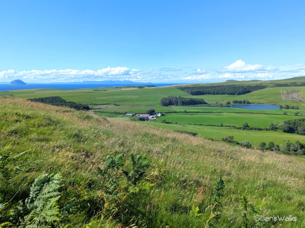 The view from the lower slopes of Knockdolian, including a small loch and lots of lush green farmland, the Isle of Arran in the distance across the Clyde. In the foreground, many different types of long grasses, possibly those relating to the SSSI designation of the hill