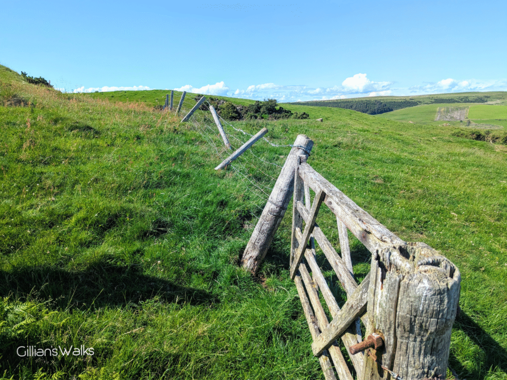 Wooden gate, seen from the side, holding up a fence post and wire fencing it is attached to