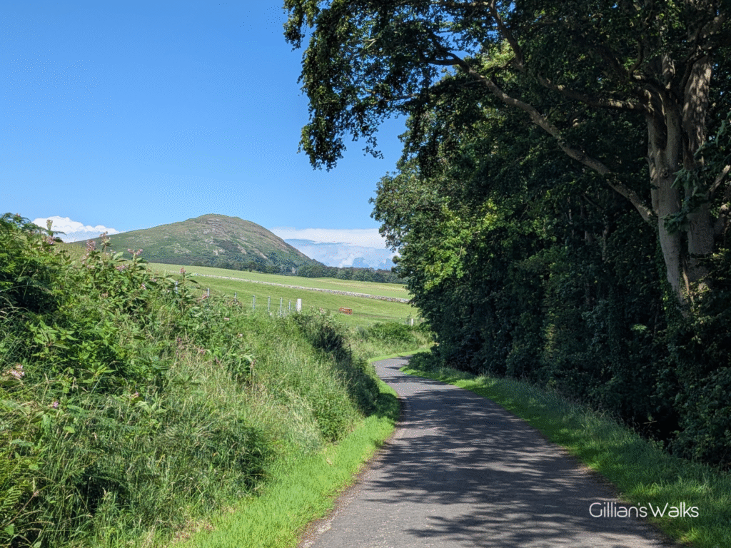 Single track country lane weaving through farmland and woodland with the conical Knockdolian Hill ahead.