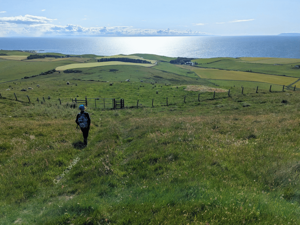 My son walking down a grassy track on Knockdolian Hill towards a gate in the fence. 