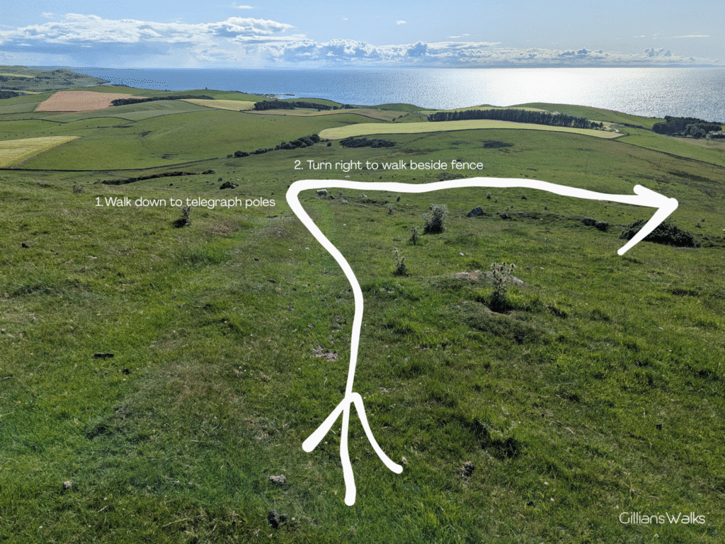 Photo annotated with instructions and arrows