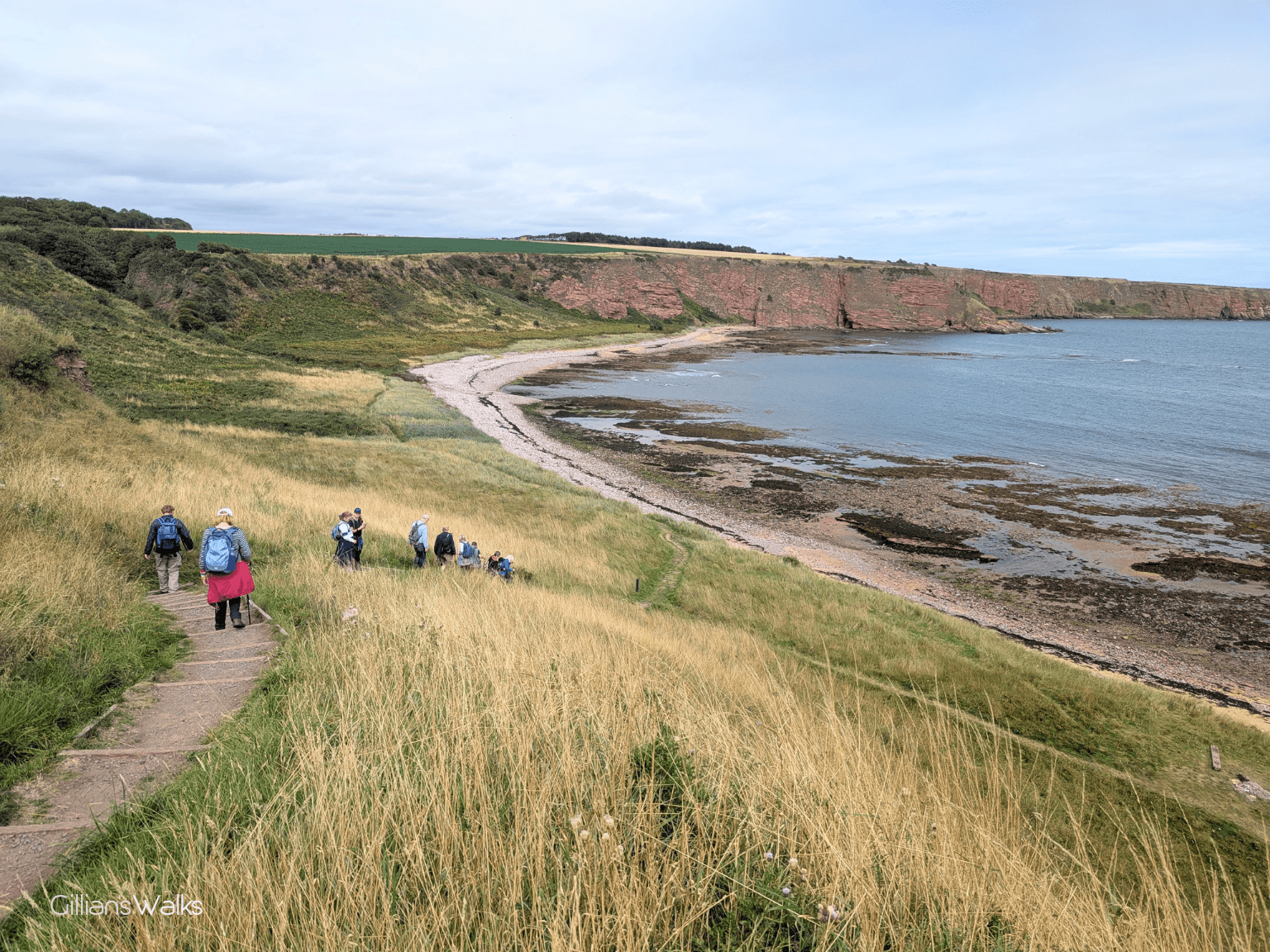 Group of walkers heading down a grassy slope towards a long stretch of beach backed by vertical sea cliffs