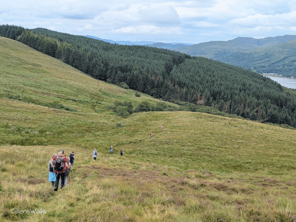group of walkers heading across moorland towards a large area of forestry