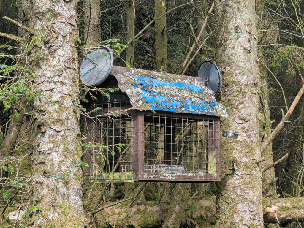 large cage suspended between two trees