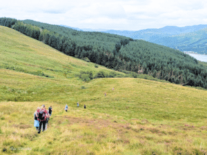group of walkers heading across moorland towards a large area of forestry