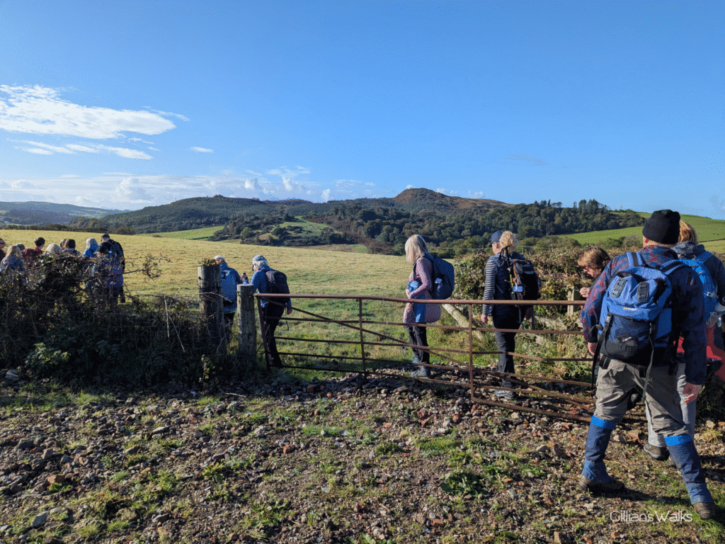 Group of walkers going through a metal stock gate into a field