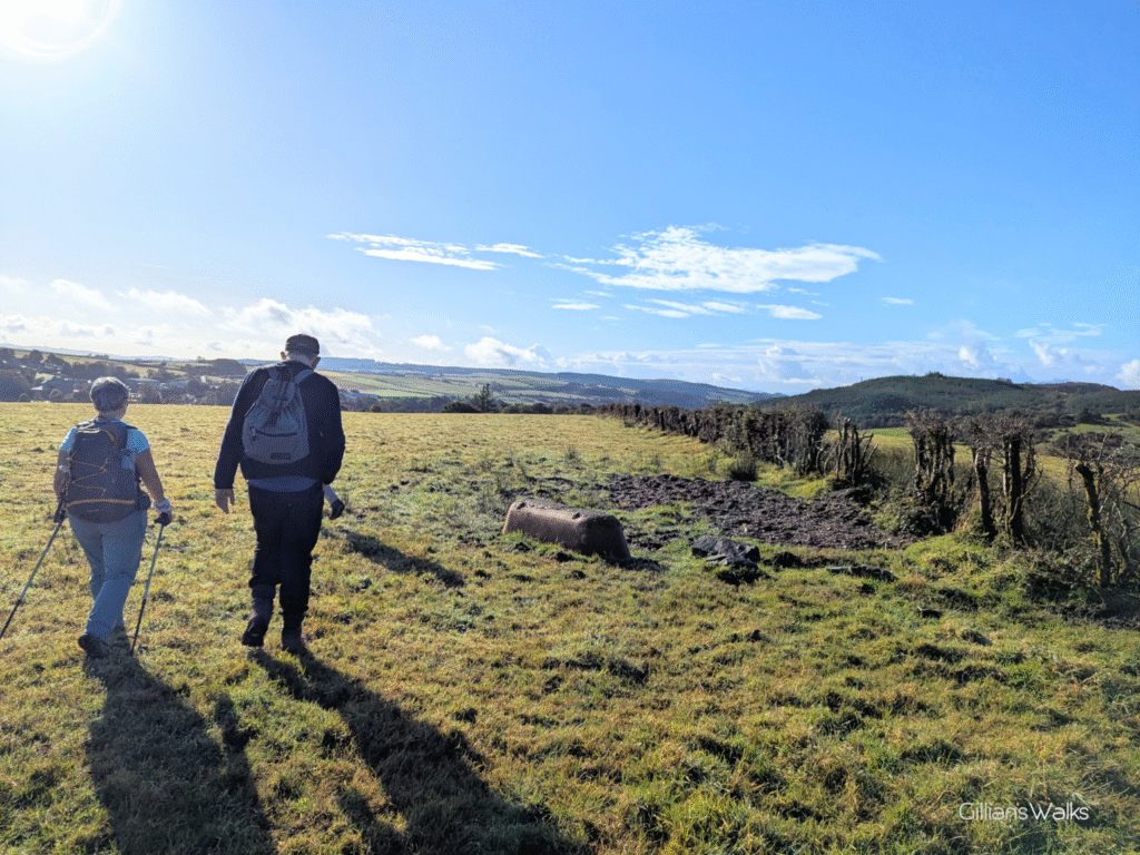 Two walkers crossing a grassy field, a hedgerow to their right