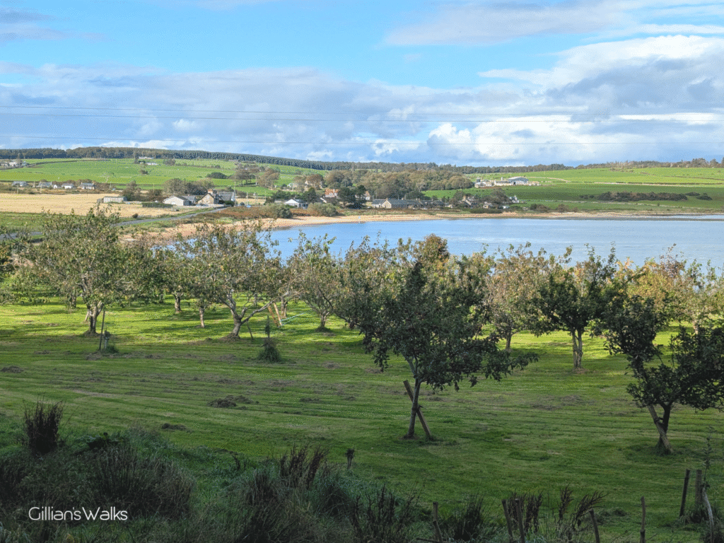 Overlooking a small orchard, with a sandy bay in the background