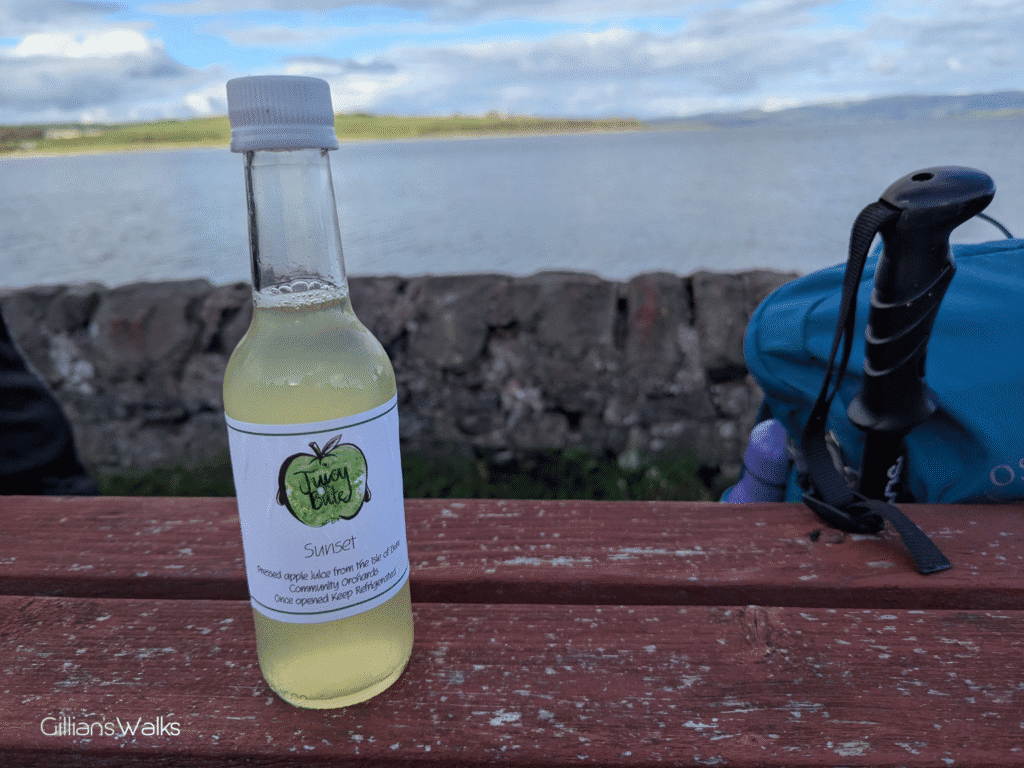 Small glass bottle of fresh apple juice sat on top of a picnic bench, the side of a rucksack visible to the right