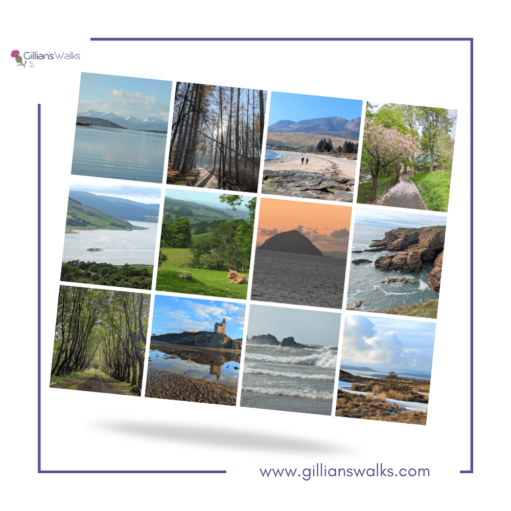 Limited Edition 2026 Gillian's Walks Calendar