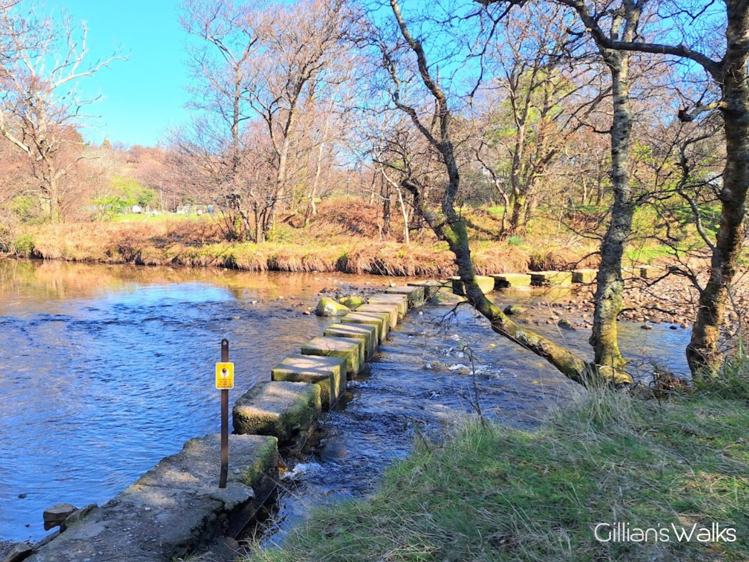 Large rectangular stepping stones across a wide river