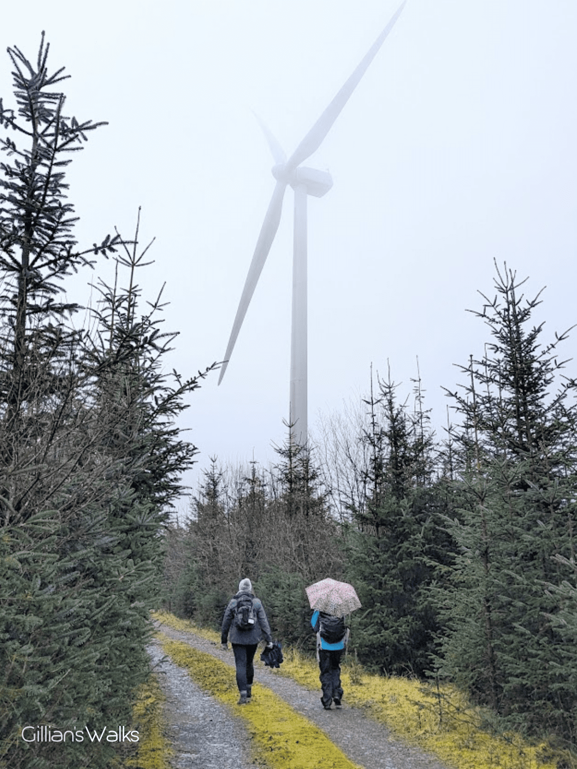 Two hikers walking along a forestry track, one with an umbrella up. A wind turbine towers overhead, shrouded in mist.