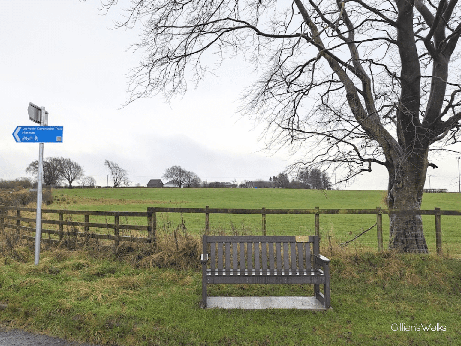 Rural roadside scene with a wooden bench positioned beside a fence looking over open green fields. A blue directional sign points left toward “Lochgoin Covenanter Trail Museum”. A large bare tree stands on the right under a pale winter sky.