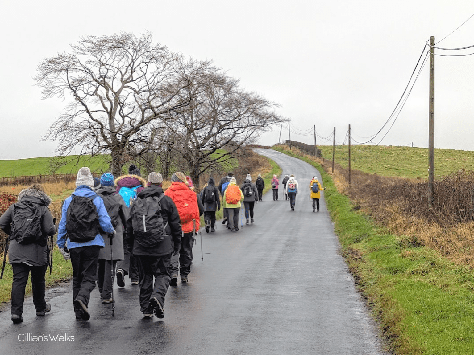 A group of hikers walks along a rural road on a cloudy day, surrounded by green fields and bare trees.