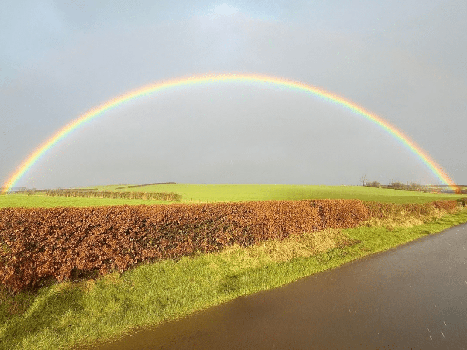 A vibrant rainbow arches over lush green fields and a brown hedgerow, set against a cloudy sky after a rain shower.