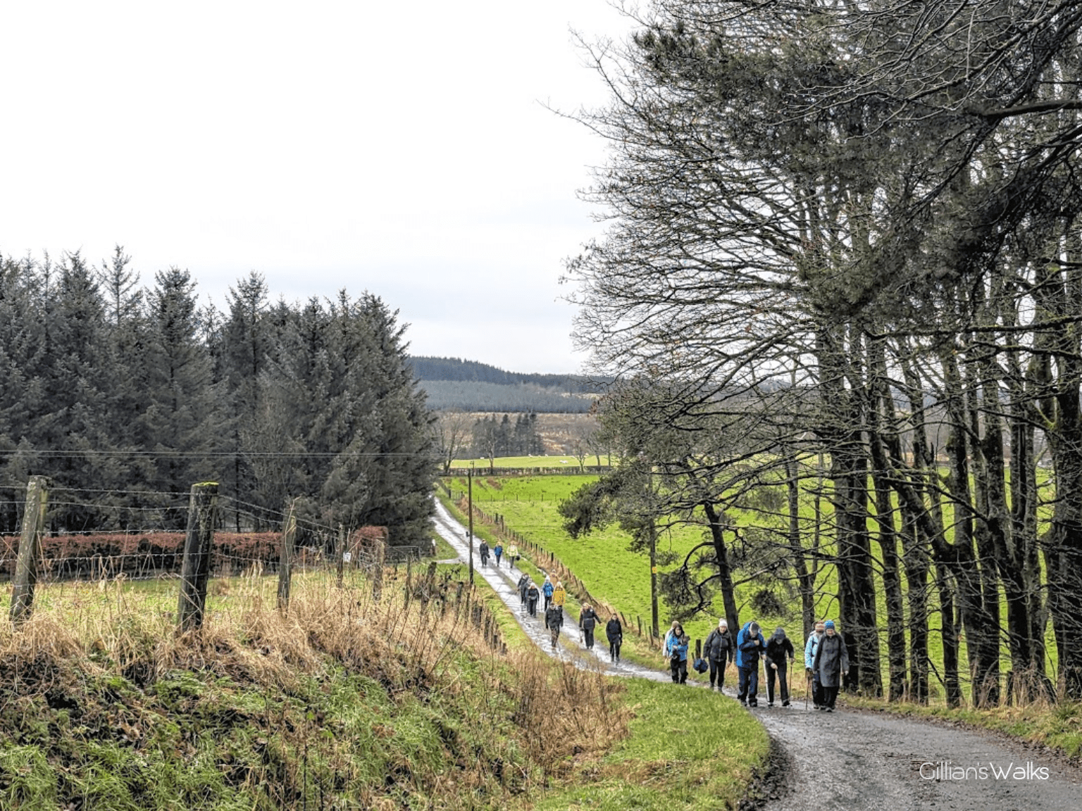 A group of hikers walk along a farm track surrounded by trees and green fields under a cloudy sky.