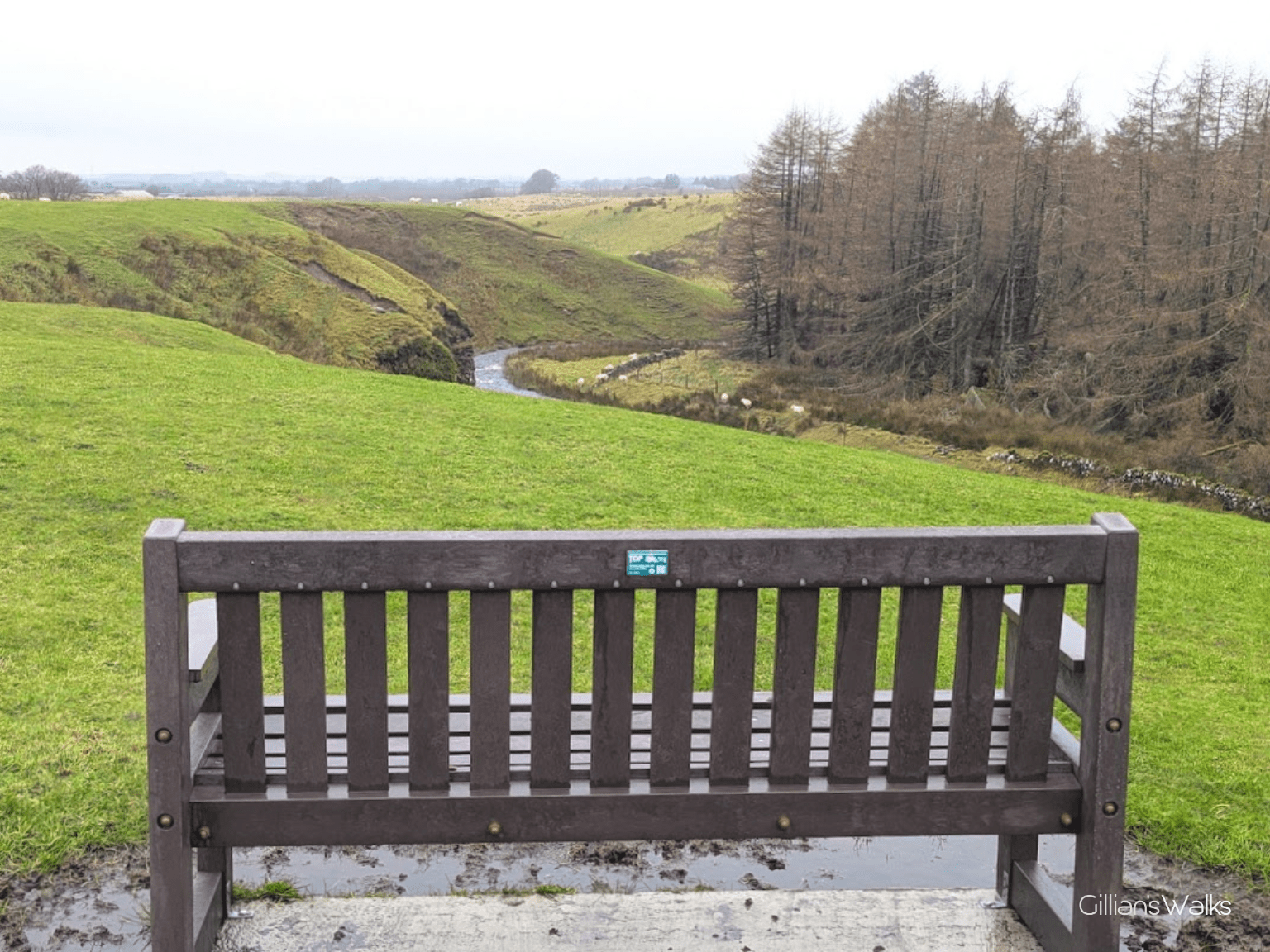 A wooden bench overlooks a lush, green landscape with a winding stream, hills, and trees under a cloudy sky.