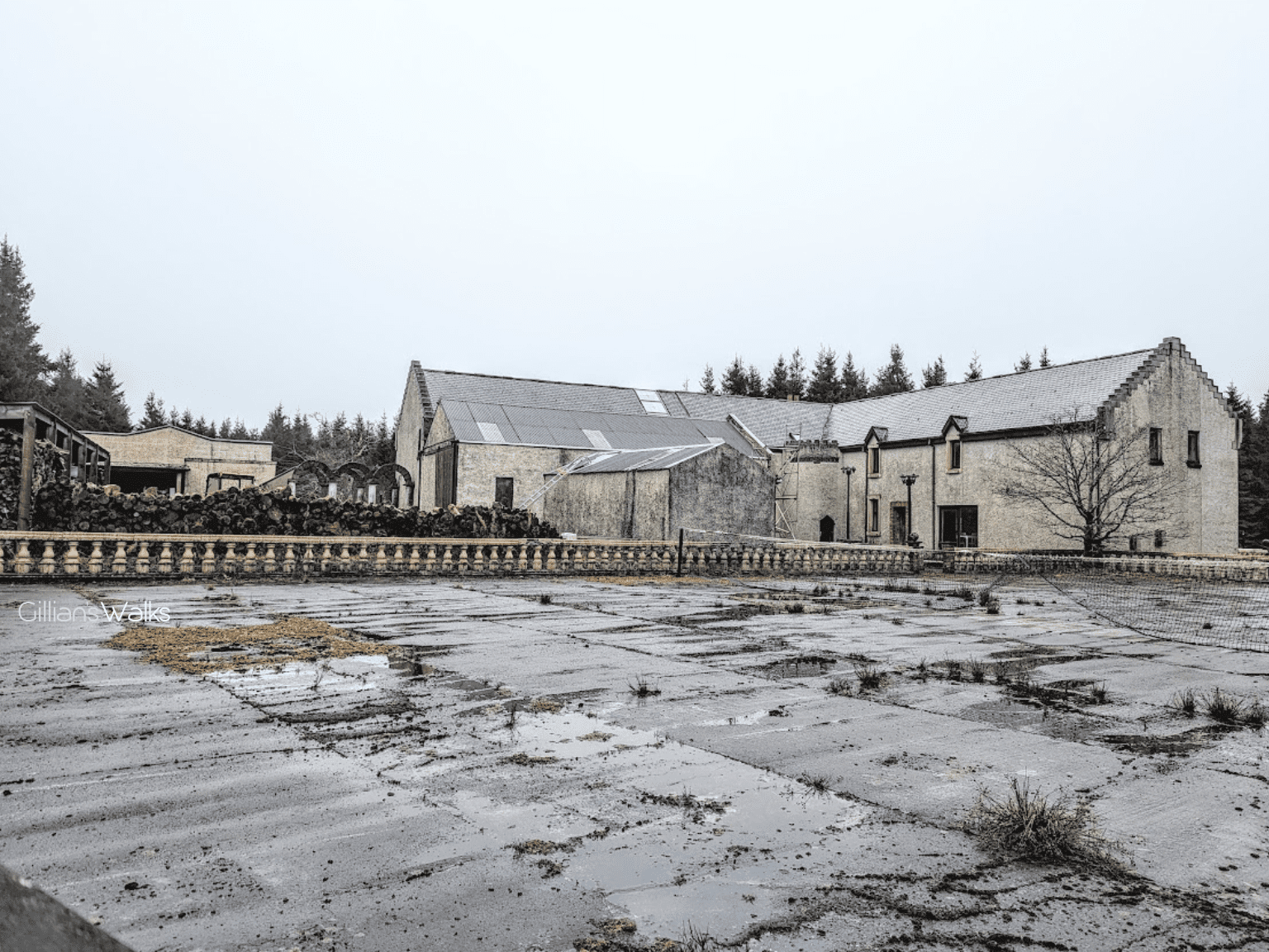 Abandoned modern buildings surrounded by puddles and overgrown patches, under a gray, misty sky amid a forest backdrop.
