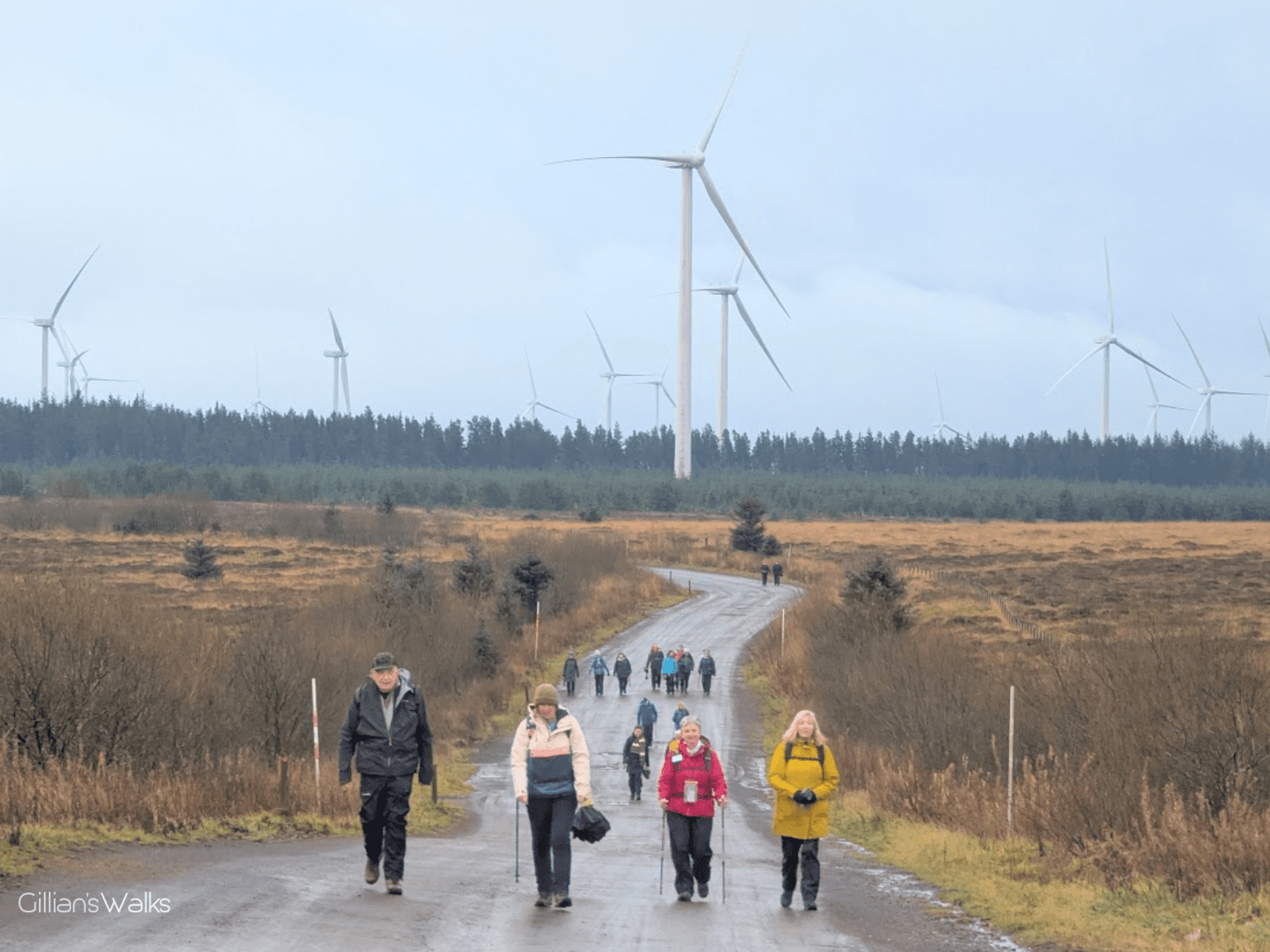 A group of people walking along a road surrounded by wind turbines against an overcast sky.