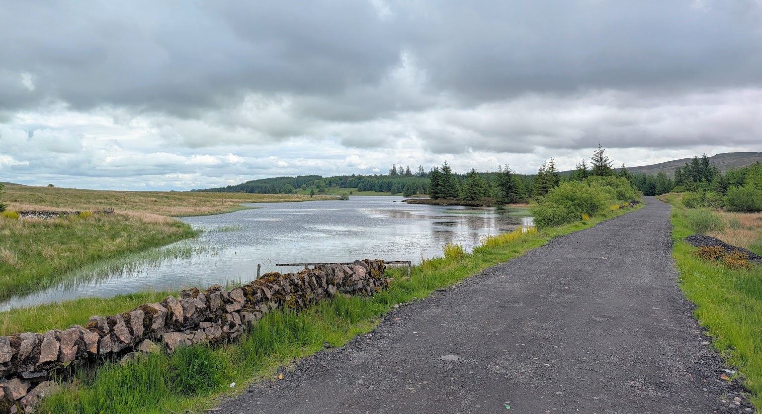A small reservoir backed by a mature forest