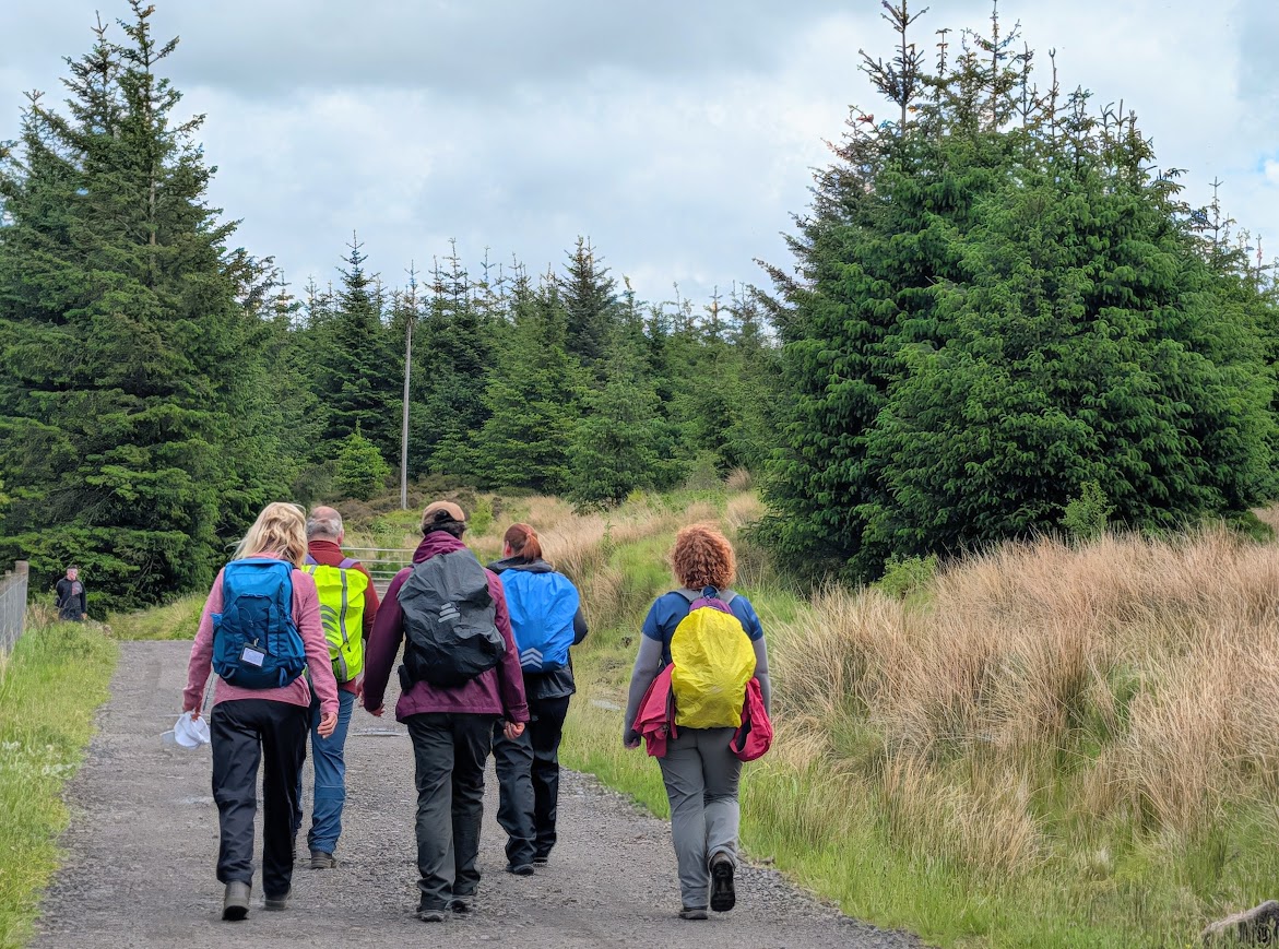 Five walkers with brightly coloured clothing walk through a mature forest