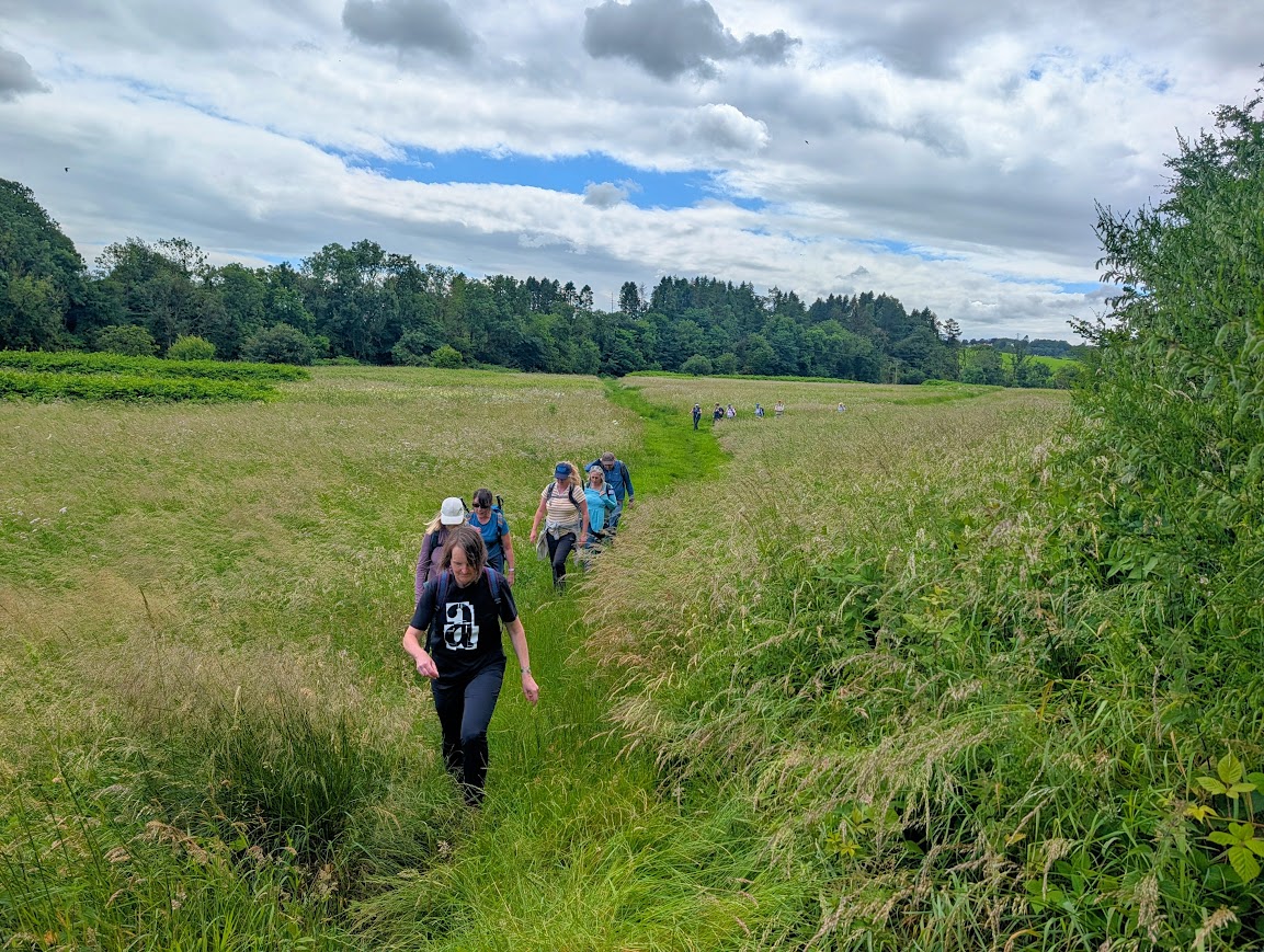 Group of walkers crossing a large meadow filled with long grasses