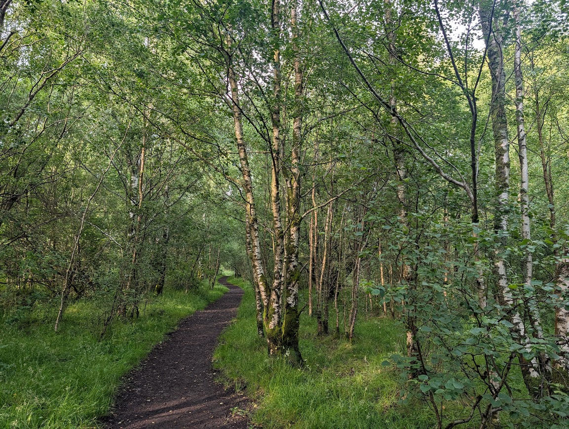 Woodland trail inside the lagoons