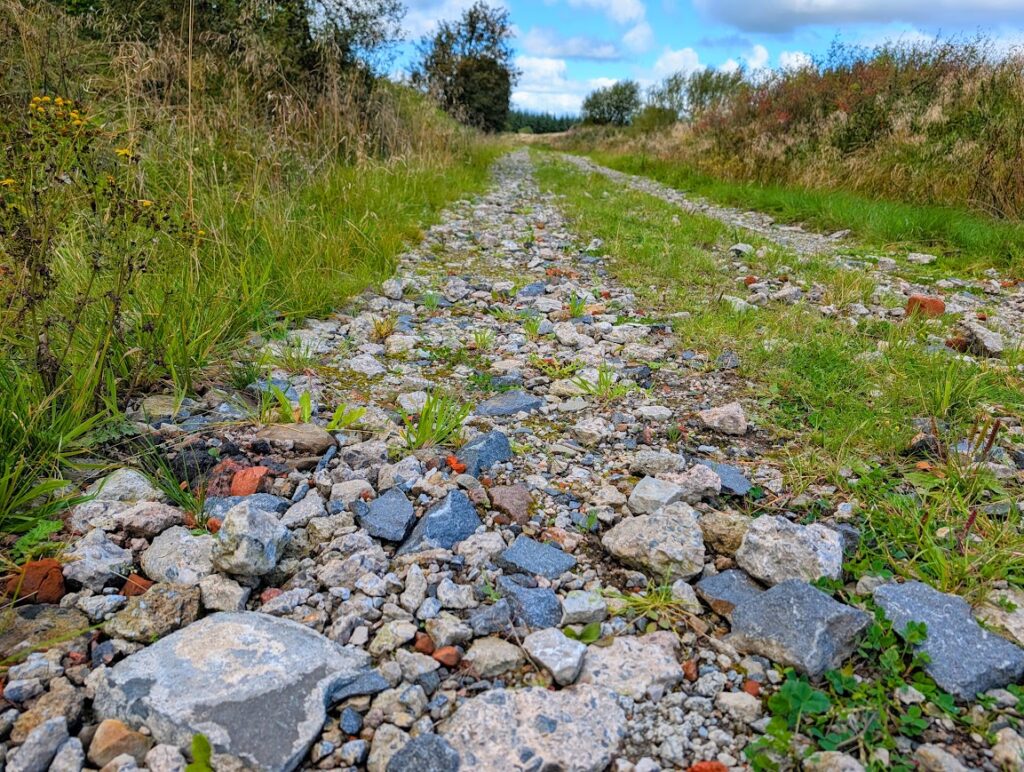 Colourful rubble forming part of the forestry track